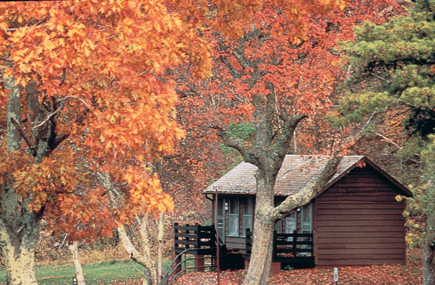 Give your reunion picturesque settings and room to roam in Shenandoah National Park.