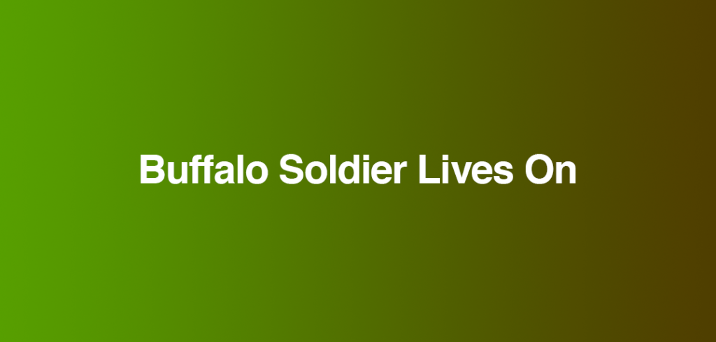 buffalo-soldier-lives-on-reunions-magazine