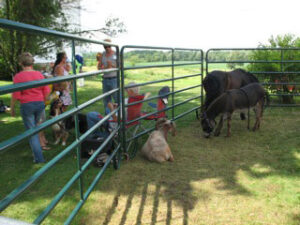 Petting zoo at Seidemann Family Reunion