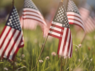Reunion Remembrances By Lisa A. Alzo, M.F.A.